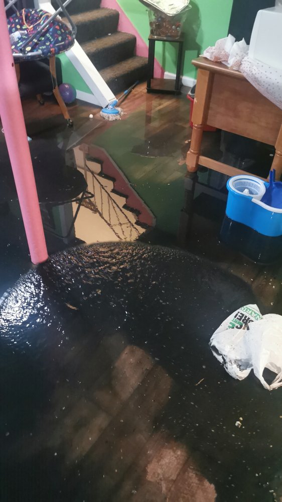 Slide of Roto-Rooter