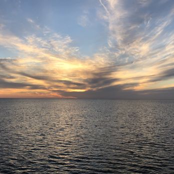 Pure Florida - Boat Charters Near Me - Naples, Florida Pure Florida - Boat Charters Near Me - Naples, Florida