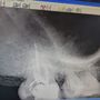 Photo of Paul N T Nguyen, DDS