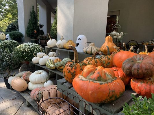 Birmingham Botanical Gardens by null