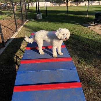 James B. Bryant Dog Park - Fun at the park - Dog Parks Near Me - Ontario, California