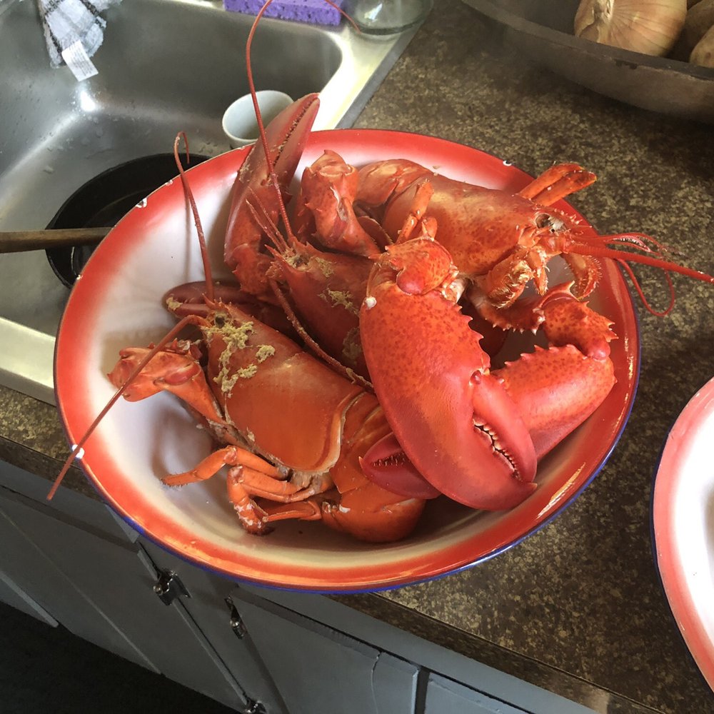 Chipman's Wharf - Our dinner! - Seafood Markets Near Me - Milbridge, Maine