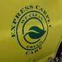 Photo of Express Carpet Care