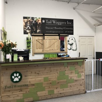 Tail Waggerz Pet Care - Drop off area/front desk - Pet Sitting Near Me - Newton, Massachusetts