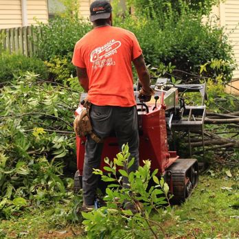 Knock'Em Down Tree Service - Tree Trimming Services in Toney, AL - Tree Services Near Me Knock'Em Down Tree Service - Tree Trimming Services in Toney, AL - Tree Services Near Me