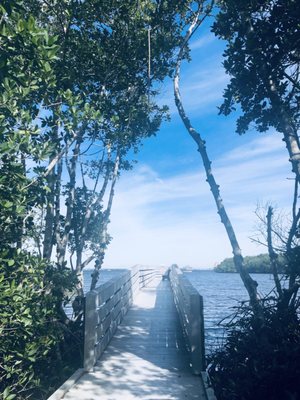 Four Mile Cove Ecological Preserve by null