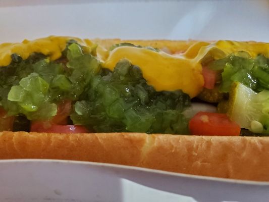 Chuck's Backyard by null