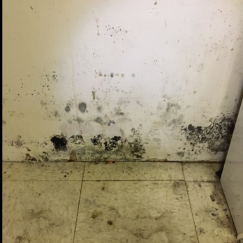 All the Way Home Inspections - At interior basement wall - Home Inspectors Near Me All the Way Home Inspections - At interior basement wall - Home Inspectors Near Me