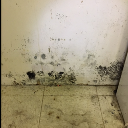 All the Way Home Inspections - At interior basement wall