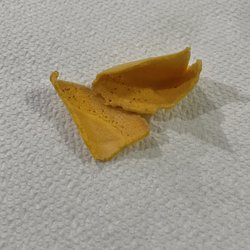 China house - Mold spots on fortune cookies.
