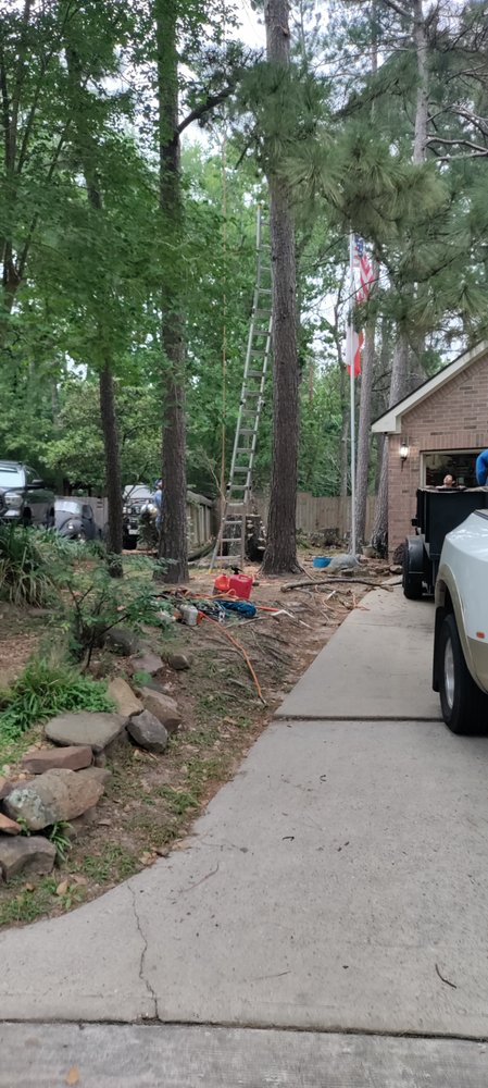 Slide of Green Shield and The Sword