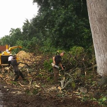 Canopy Care - Tree Services Near Me Canopy Care - Tree Services Near Me