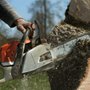 Photo of We Cut Tree Removal