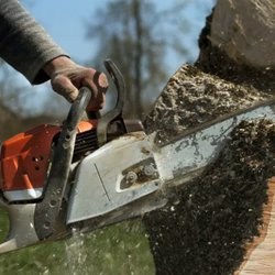 We Cut Tree Removal