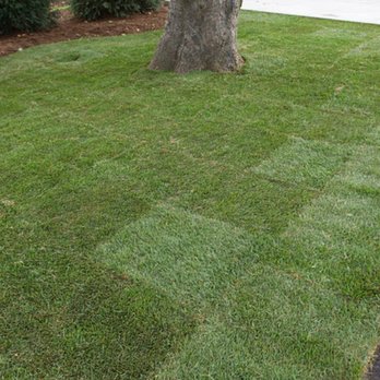 Knapp's Landscaping - Fresh sod for instant gratification. Call us for a estimate. - Landscape Architects or Designers Near Me - Suffern, New York