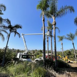 Westview Tree Experts