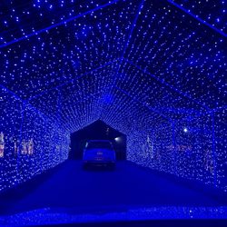 Festival Of Lights