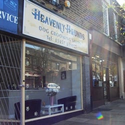 Heavenly Hounds