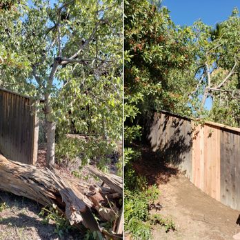 Quality Tree Service - Before (tree trunk broke fence) and after - Tree Services Near Me