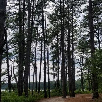Reservoir Park - Trail - Parks Near Me - Southern Pines, North Carolina Reservoir Park - Trail - Parks Near Me - Southern Pines, North Carolina