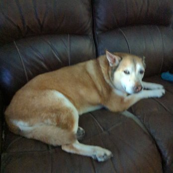 Pet Wash Center - The look after cleaning ! - Pet Groomers Near Me - Riverside, California Pet Wash Center - The look after cleaning ! - Pet Groomers Near Me - Riverside, California
