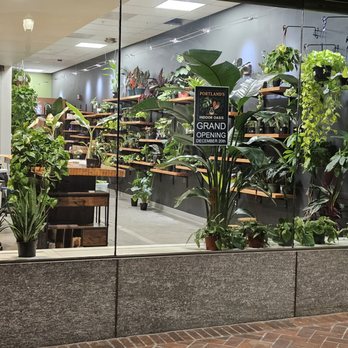 Portland's Indoor Oasis - Nurseries & Gardening Near Me - Portland, Oregon Portland's Indoor Oasis - Nurseries & Gardening Near Me - Portland, Oregon