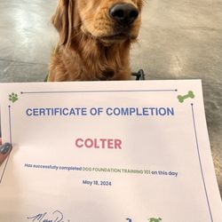 Unleashed Academy - We learned so many ways in how to make our dog be obedient. All the trainers were phenomenal and we had a great time here!