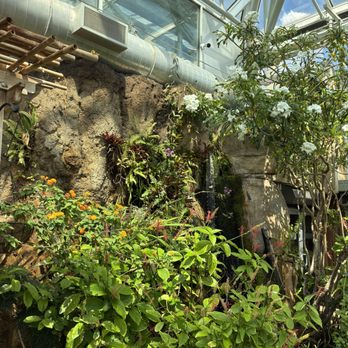 Tennessee Aquarium - butterfly garden - Aquariums Near Me - Chattanooga, Tennessee Tennessee Aquarium - butterfly garden - Aquariums Near Me - Chattanooga, Tennessee