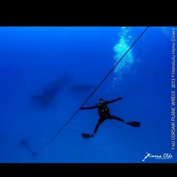 Honolulu Honu Divers - Safety stop at the Corsair - Scuba Diving Near Me - Honolulu, Hawaii