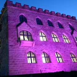 Hambacher Schloss während der Rosa Wochen (Mandelblüte)