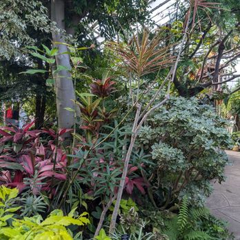 Centennial Park Conservatory - Parks Near Me - Toronto, Ontario