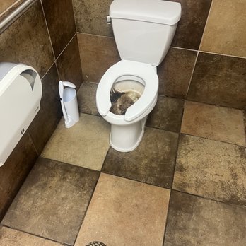 Ciro's Lasagna House - Bathroom - Pizza Near Me - Harrisonburg, Virginia