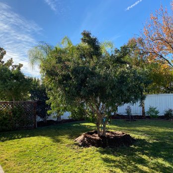 Moon Valley Nurseries - Nurseries & Gardening Near Me - Murrieta, California