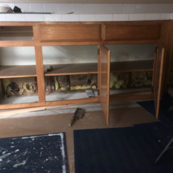 Take Care Termite & Pest Control - Had to tear out drywall and bottom part of cabinets. - Pest Control Near Me - Tracy, California