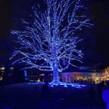 Winterlights at Newfields - Tree lights - Festivals Near Me - Indianapolis, Indiana