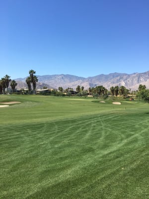 Escena Golf Club by null