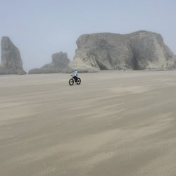 South Coast Bicycles - Fat bike on the beach, amazing!