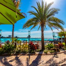 Shephard's Tiki Beach Bar