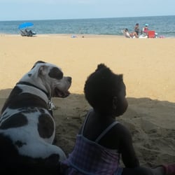 Stonehenge Kennels - Us on VA Beach