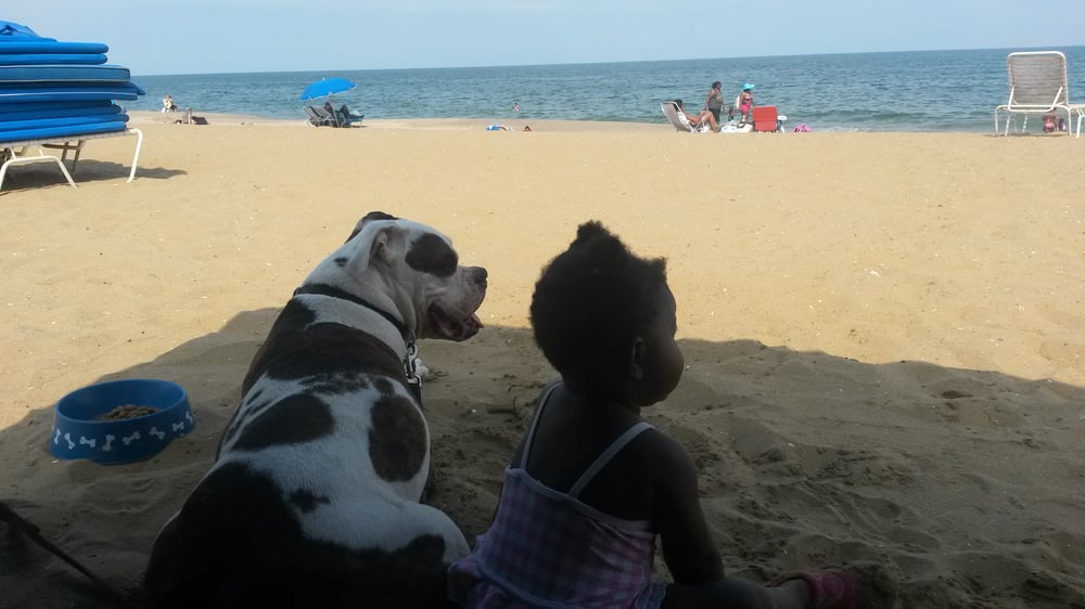 STONEHENGE KENNELS Updated August 2024 5550 Riverview Rd