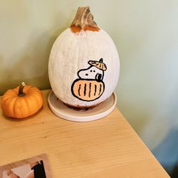 Bound Coffee Company