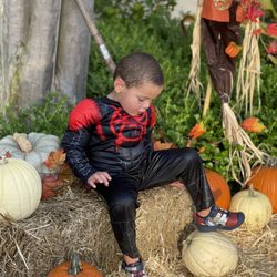 Lake Worth Christian Beginnings Preschool - Halloween photos
