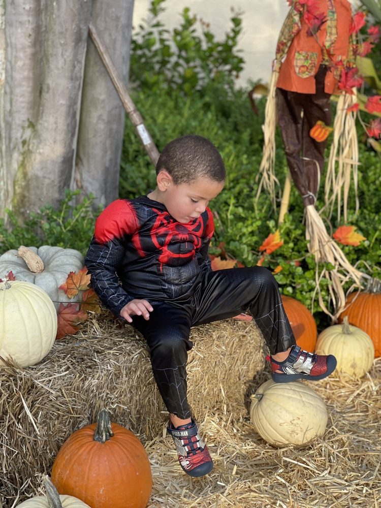 Lake Worth Christian Beginnings Preschool - childcare center in Lake Worth, FL