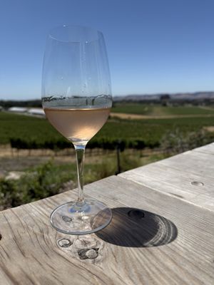 Scribe Winery by null