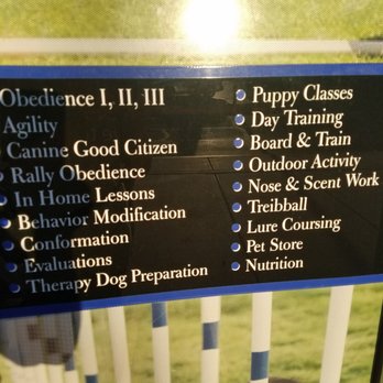 AZ Dog Sports - Many class options are available - Pet Training Near Me AZ Dog Sports - Many class options are available - Pet Training Near Me
