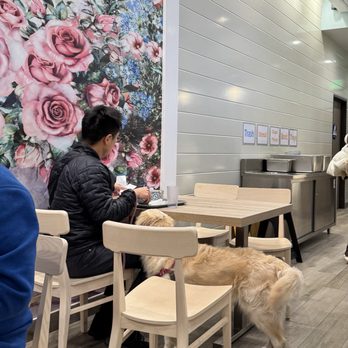 Ever After Tearoom & Eatery - Dog friendly! - Shaved Ice Near Me - Irvine, California Ever After Tearoom & Eatery - Dog friendly! - Shaved Ice Near Me - Irvine, California