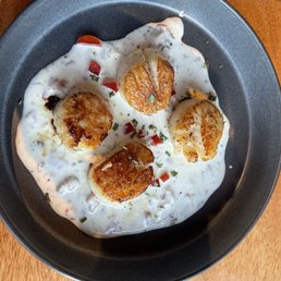 We've enjoyed the seared scallops in a bacon cream sauce as our appetizer more than once.