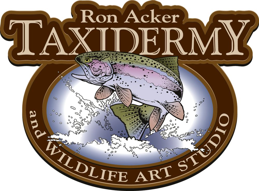 Ron Acker Taxidermy and Wildlife Art Studio - taxidermy in Saint Charles, MI