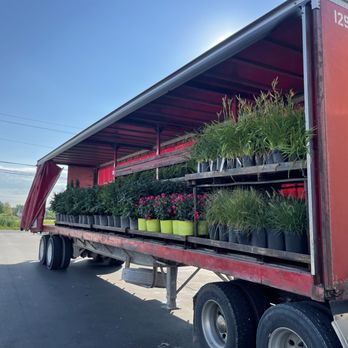 Ultimate Nursery Macomb - Nurseries & Gardening Near Me - Macomb, Michigan Ultimate Nursery Macomb - Nurseries & Gardening Near Me - Macomb, Michigan