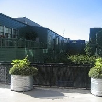 Shalomtouch - Massage Near Me - Albany, California Shalomtouch - Massage Near Me - Albany, California